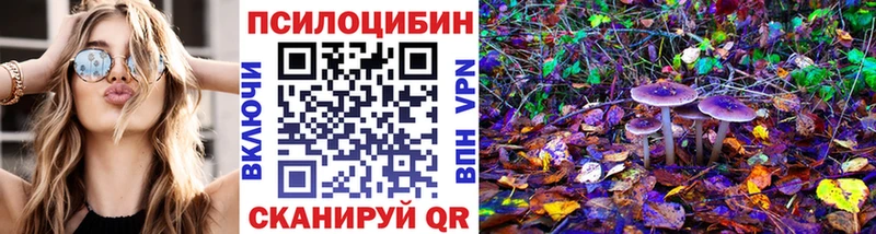 Галлюциногенные грибы MAGIC MUSHROOMS  как найти закладки  Кандалакша 